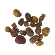 Семена табака Nicotiana glauca